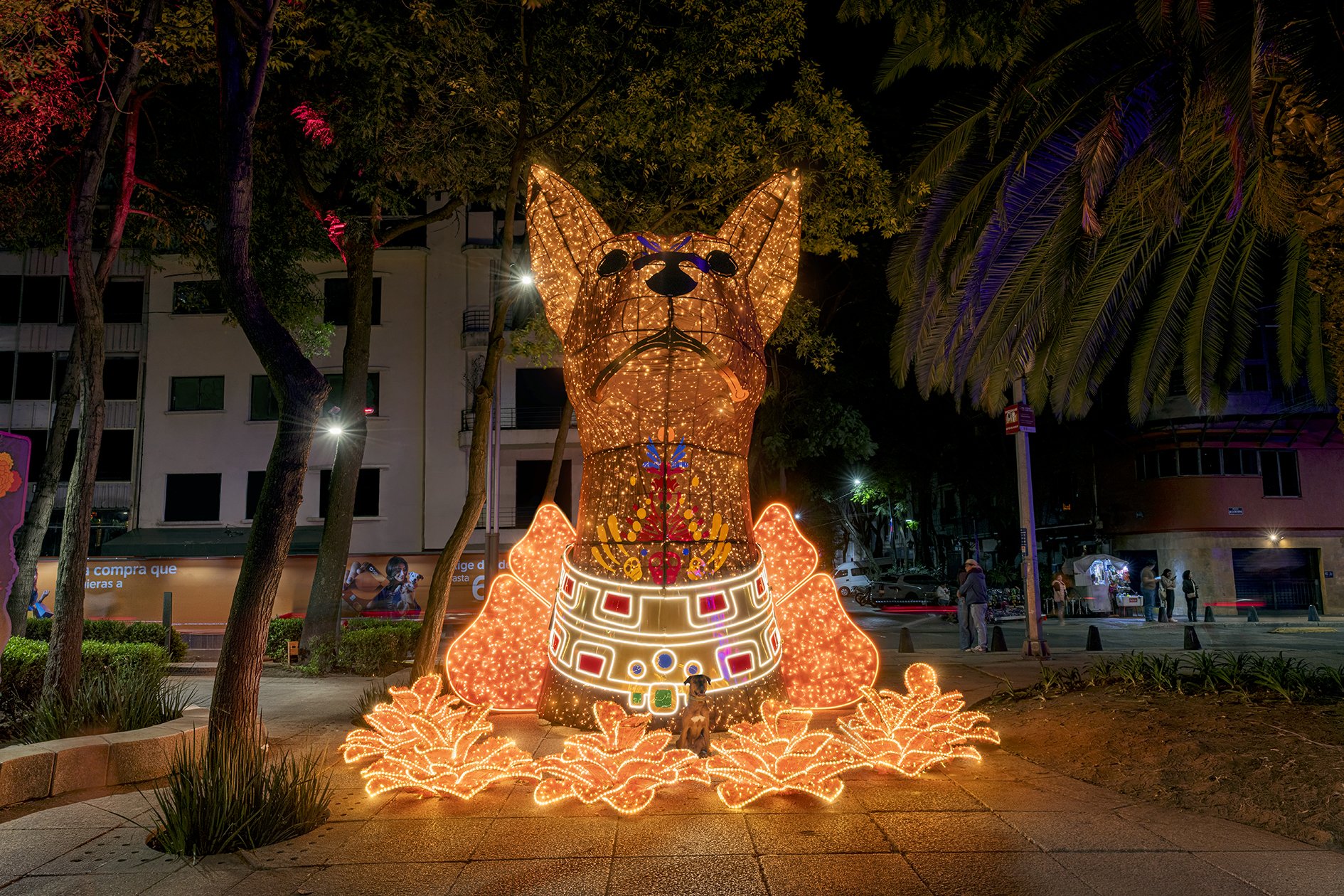 La scultura luminosa Guía