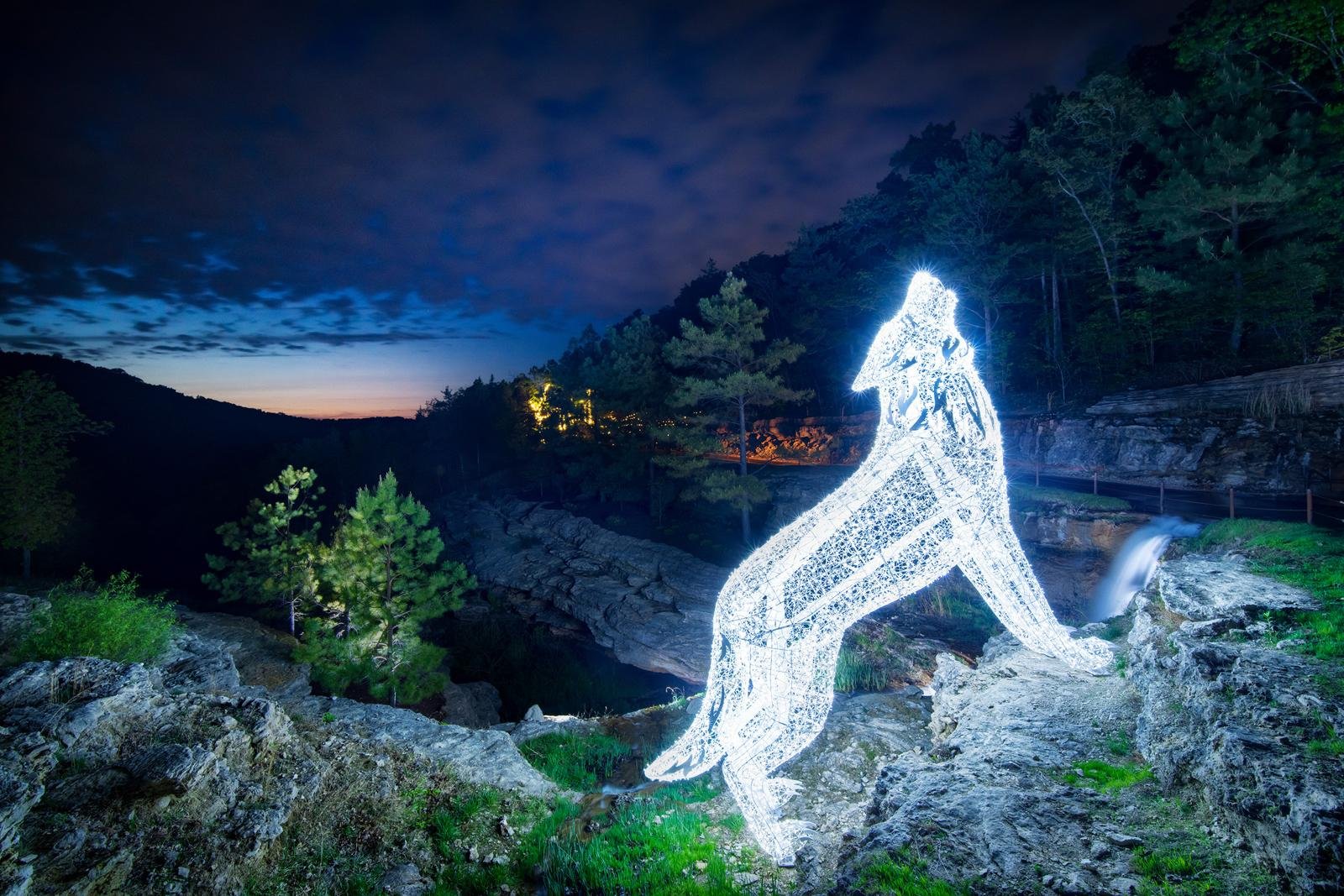 Wolf — Top of the Rock, USA