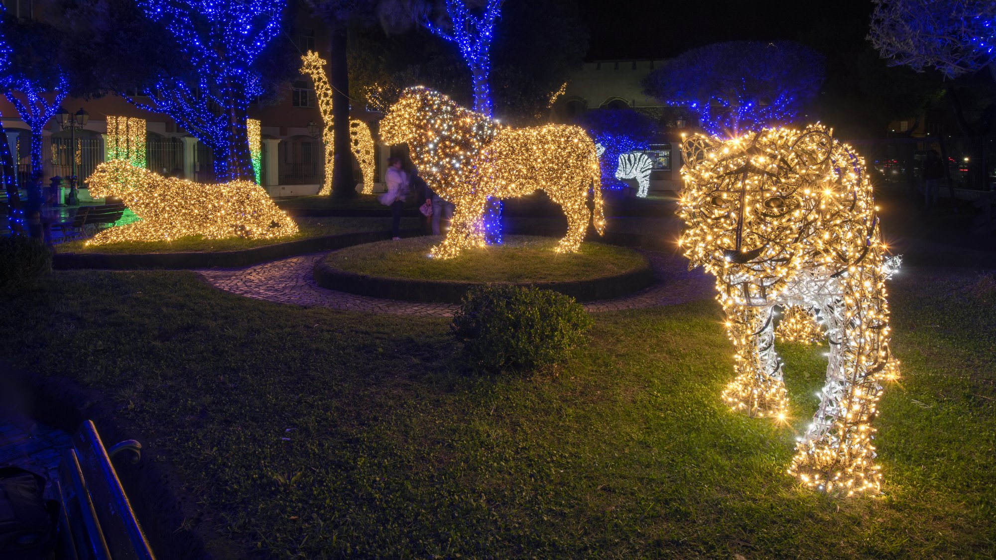 Animali luminosi lungo il percorso Zoo Light